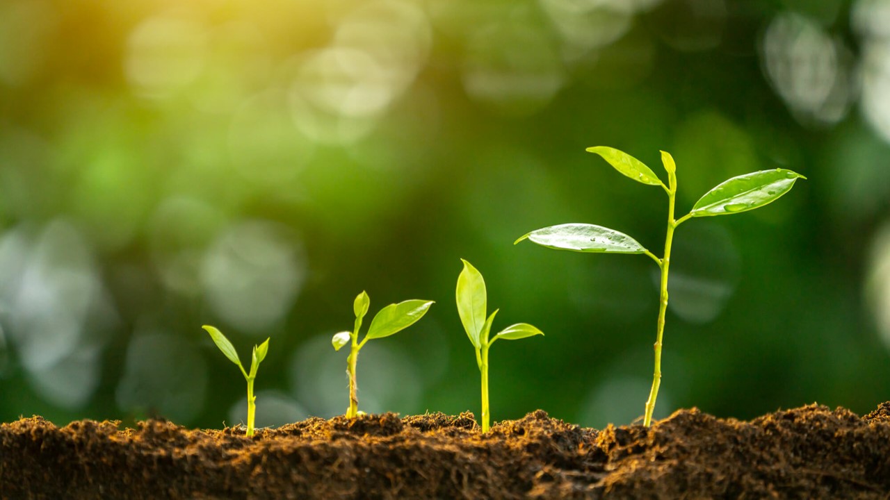 ブランド・エクイティとは？ブランド構築成功事例を紹介！ ｜ 株式会社エモーションテック